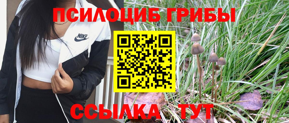 Псилоцибиновые грибы мицелий Воркута