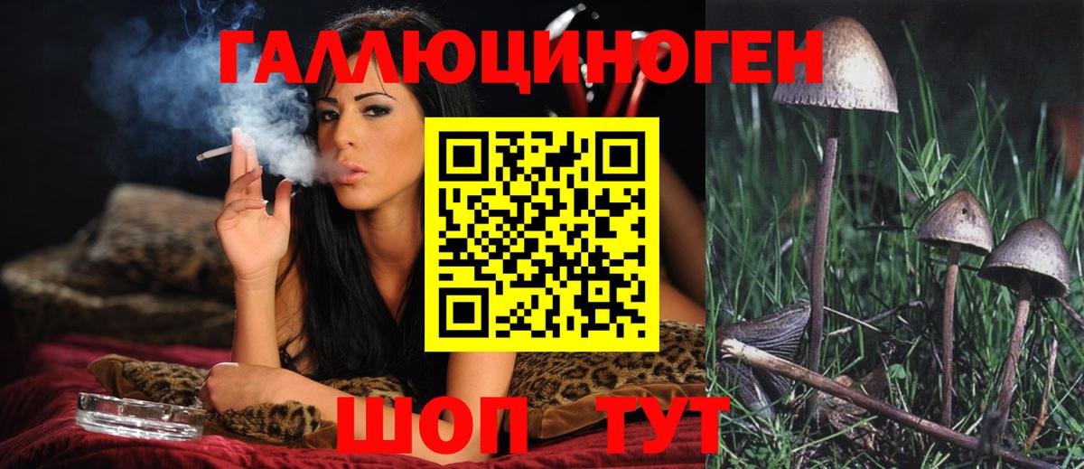Псилоцибиновые грибы Psilocybe  Вход с VPN  продажа наркотиков  Воркута 